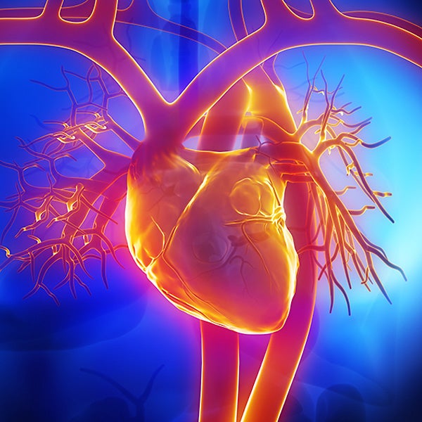 Cardiac Rehabilitation