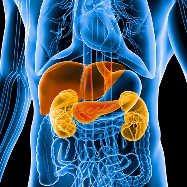 Intra Abdominal transplant