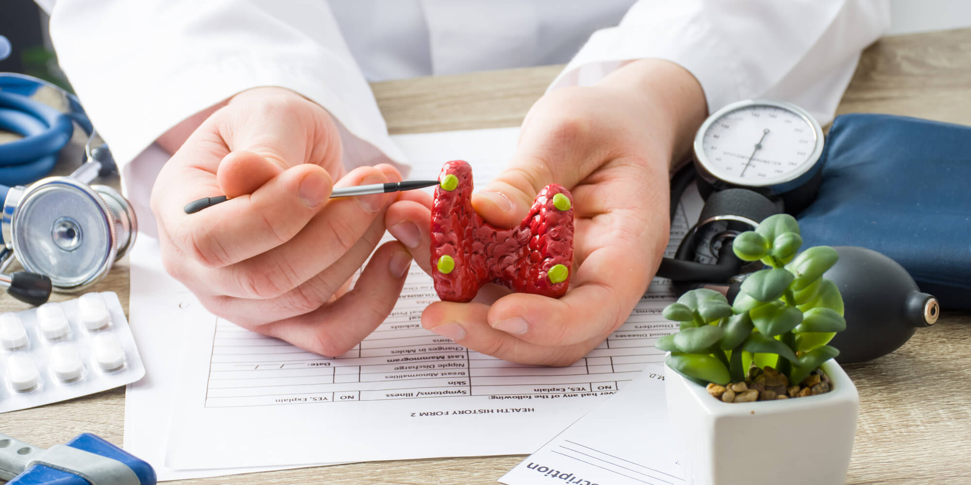 Doctor pointing to model of thyroid gland