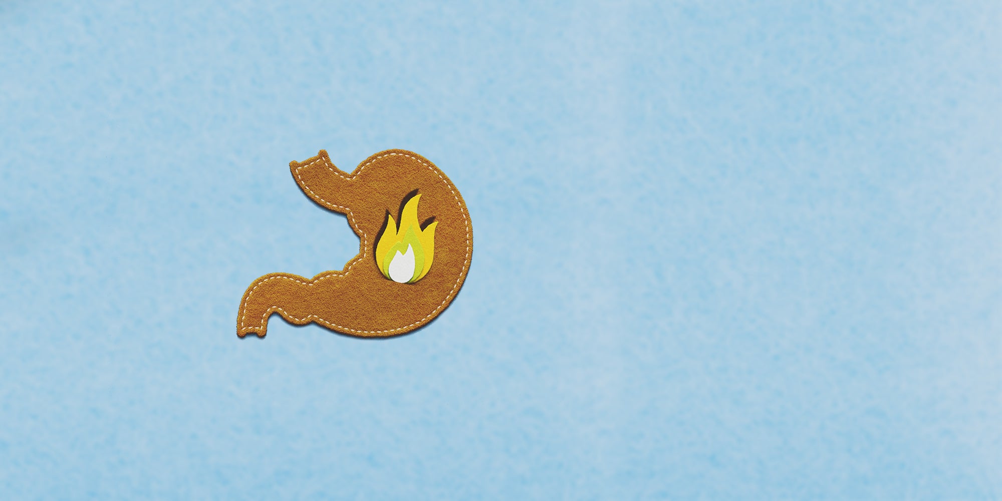 Digestive system illustration