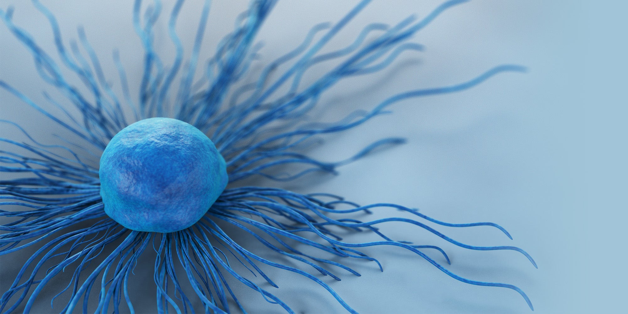 image of a cancer cell