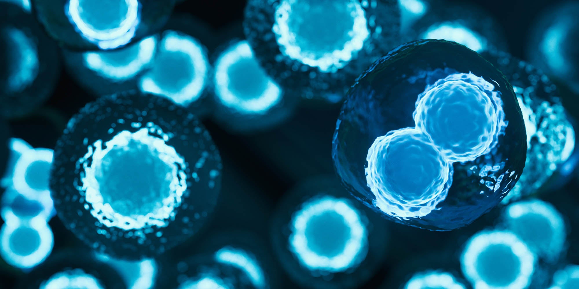 3d rendered image of stem cells