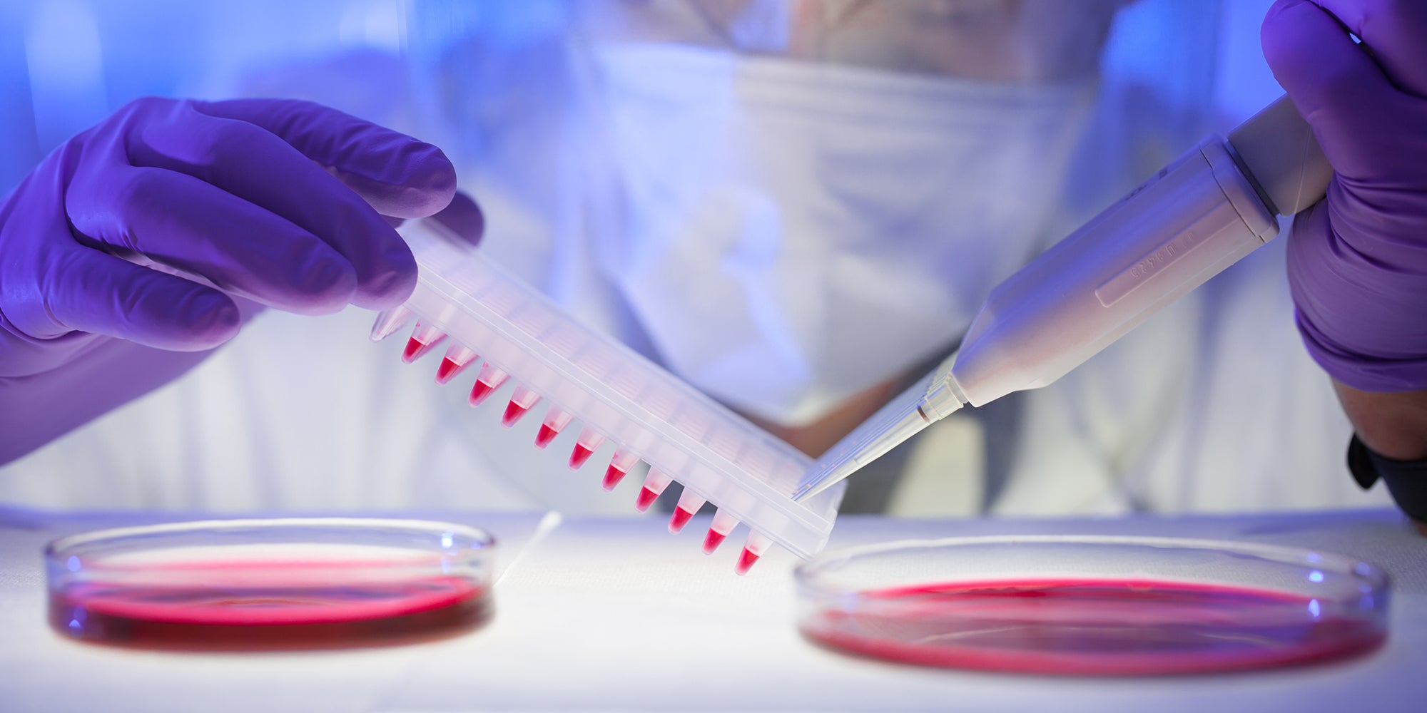 Researcher working in lab